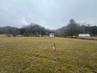 Listing photo 3 for 0 Chigger Hollow Rd, Pleasant Shade TN 37145