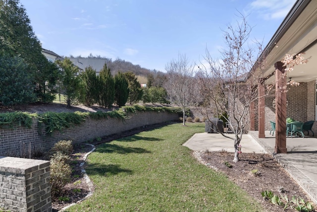 view of yard featuring a patio area and a fenced backyard