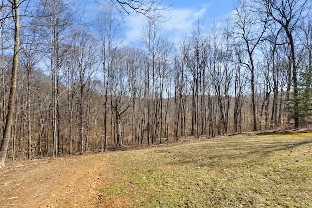 view of nature with a wooded view