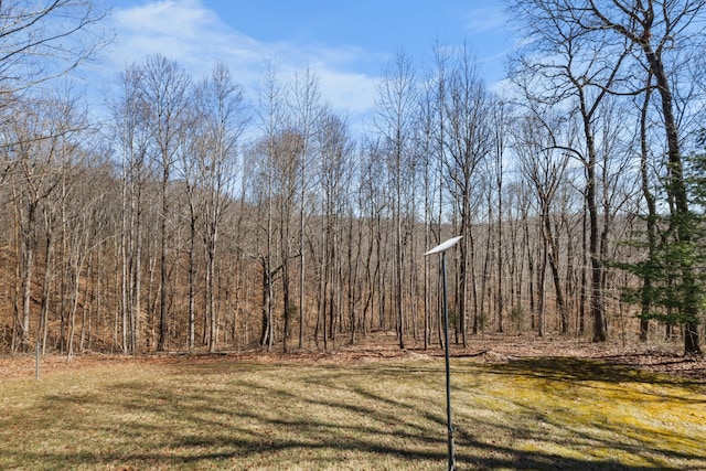 view of yard with a wooded view