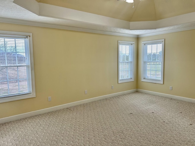 carpeted spare room featuring crown molding, baseboards, and a healthy amount of sunlight