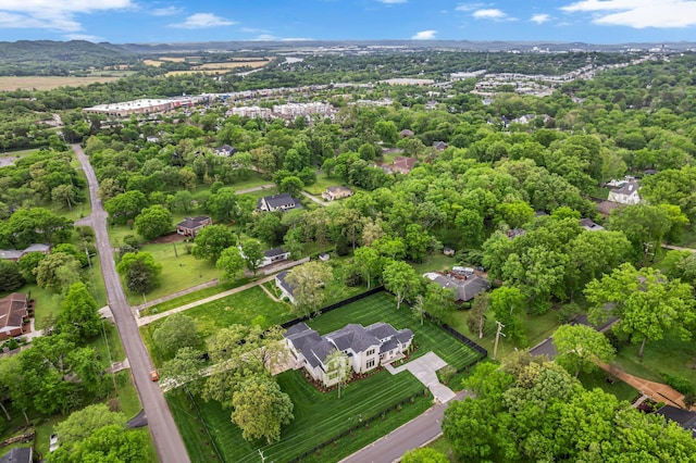aerial view
