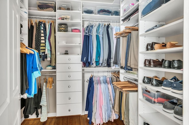 spacious closet featuring wood finished floors