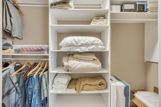 view of walk in closet