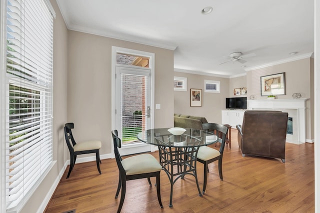 dining space featuring ceiling fan, a glass covered fireplace, wood finished floors, and crown molding