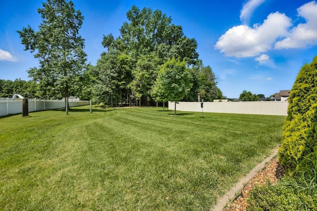 4268 Sango Rd, Clarksville, TN 37043 - view of yard