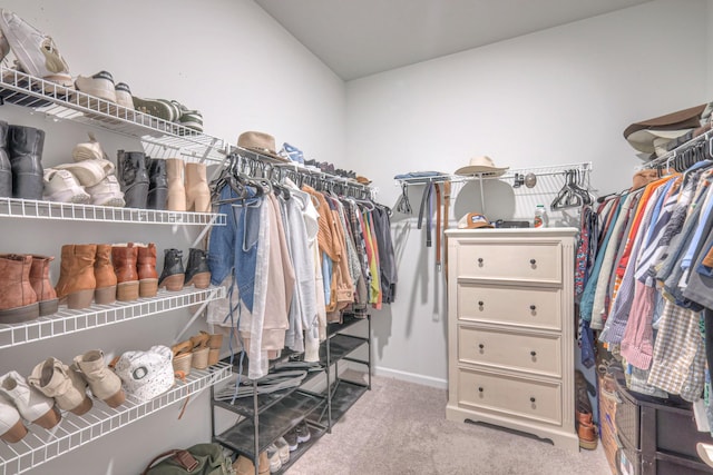 spacious closet featuring carpet