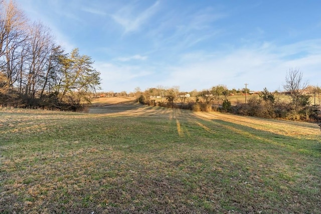 view of yard with a rural view