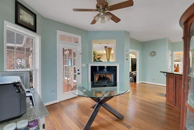 interior space featuring light wood finished floors, a fireplace, baseboards, and a wealth of natural light