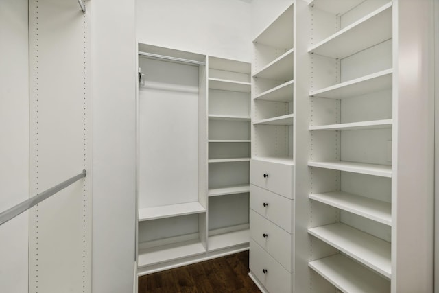 walk in closet featuring dark wood-style floors