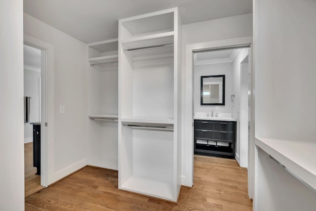 walk in closet with a sink and light wood-style floors