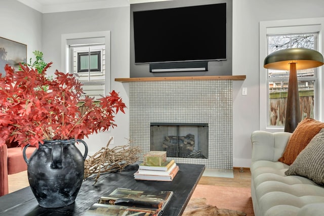 living room featuring a tiled fireplace and wood finished floors