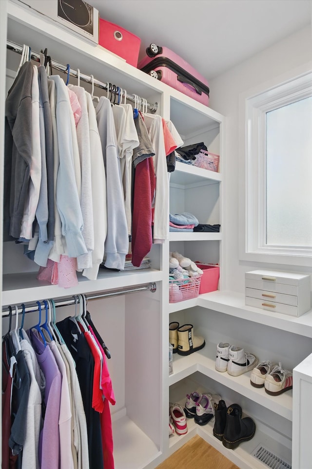 view of closet