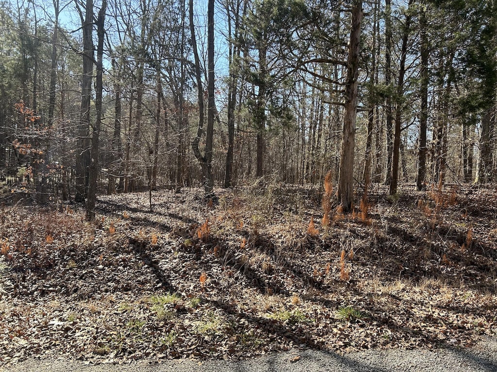 0 Green Meadow Dr, Big Sandy, TN 38221 - photo 1