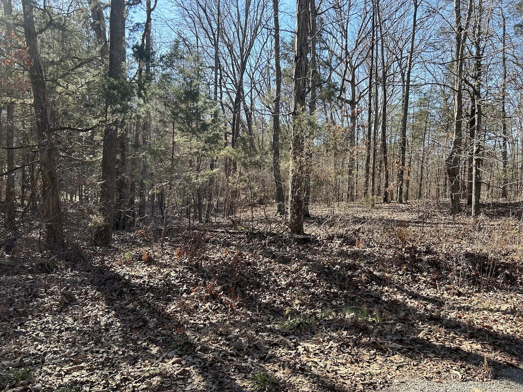 0 Green Meadow Dr, Big Sandy, TN 38221 - photo 2