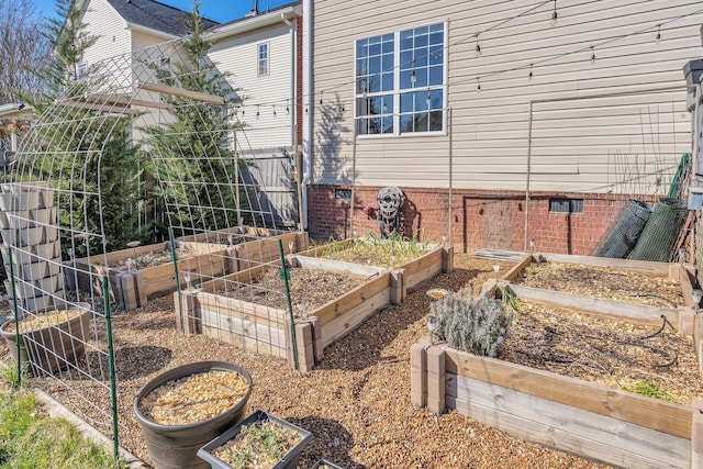 view of yard featuring a vegetable garden