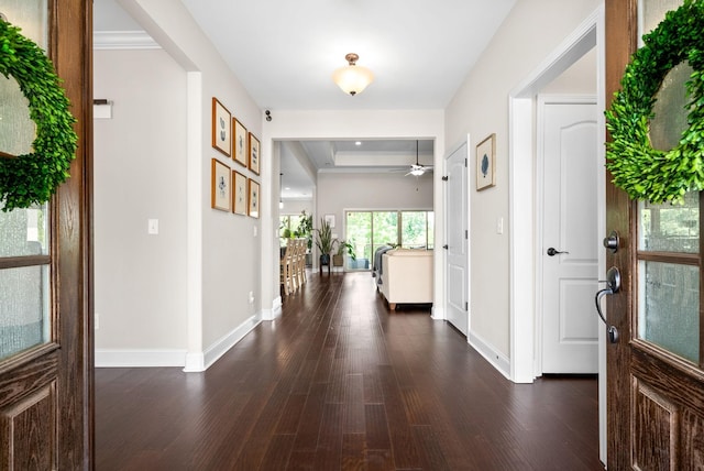 foyer entrance with ceiling fan, baseboards, and dark wood-type flooring