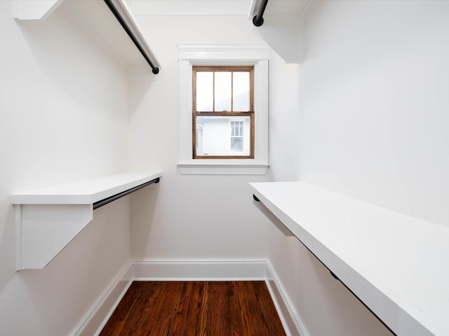 walk in closet with dark wood-style flooring