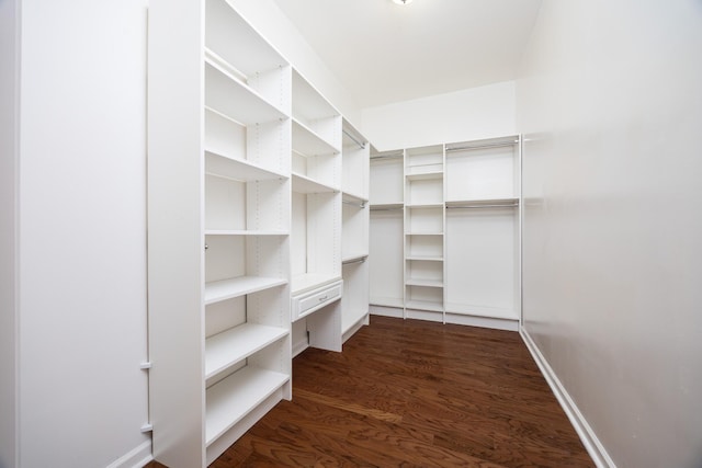 spacious closet featuring dark wood finished floors