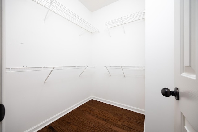 walk in closet featuring dark wood-style floors