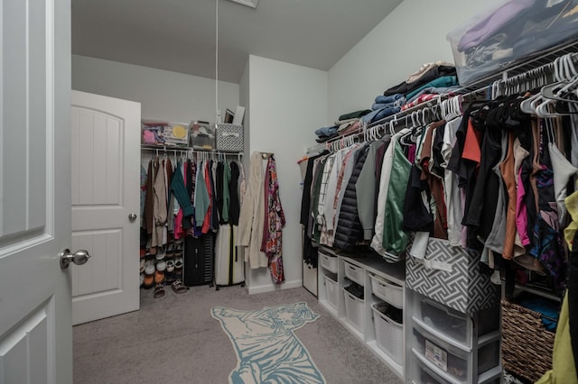 spacious closet featuring attic access and carpet floors