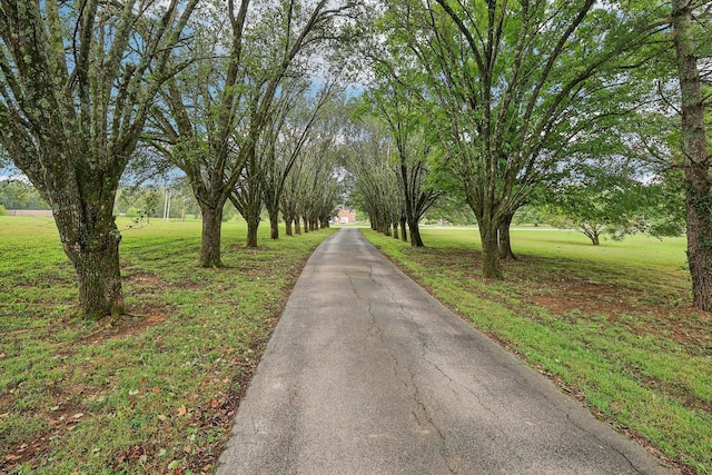 view of street with driveway