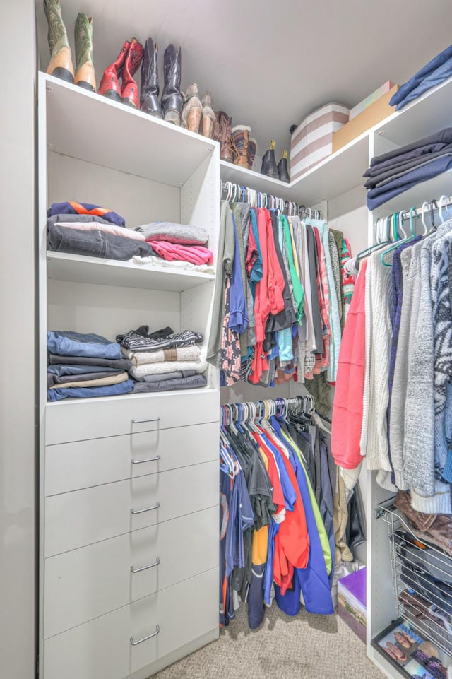 spacious closet featuring carpet