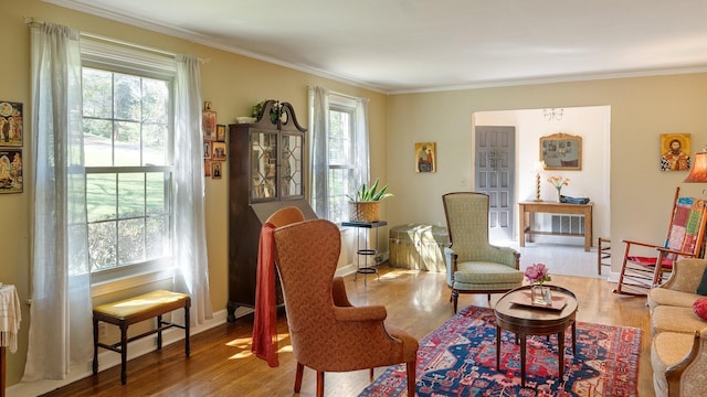 living area featuring ornamental molding and wood finished floors