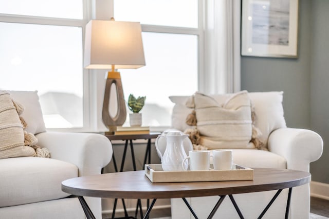 living area featuring a wealth of natural light