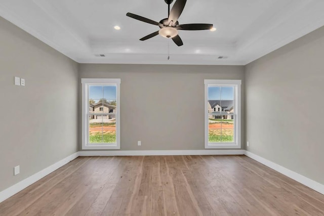 919 Licinius Ln, Murfreesboro, TN 37128 - unfurnished room with a wealth of natural light, hardwood / wood-style flooring, and a raised ceiling