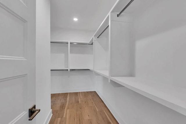 919 Licinius Ln, Murfreesboro, TN 37128 - spacious closet with light wood finished floors
