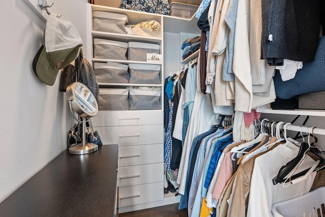 view of spacious closet