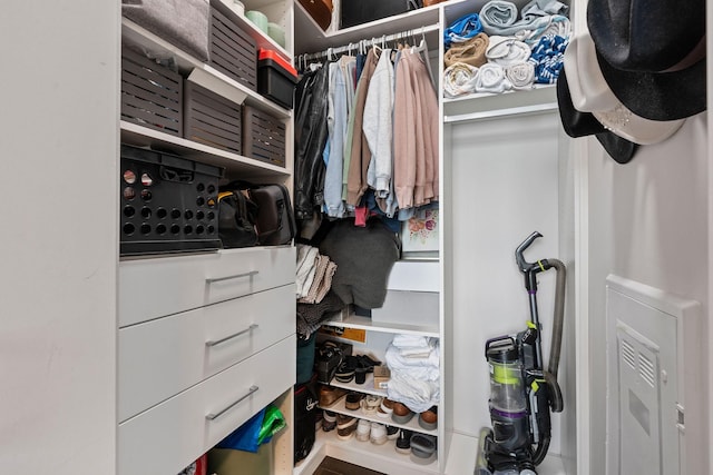 view of spacious closet