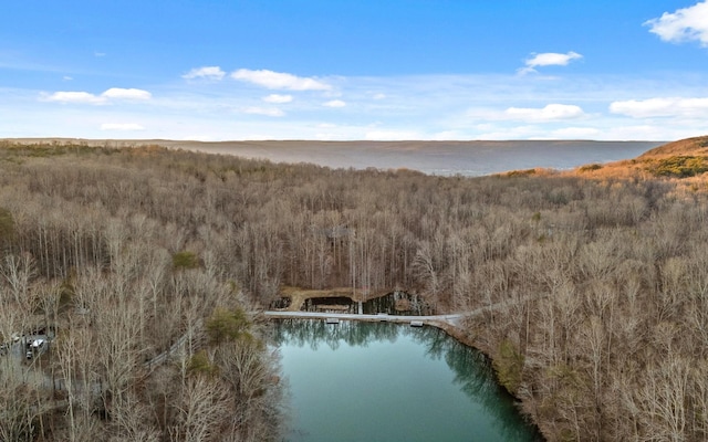 aerial view featuring a water view and a forest view