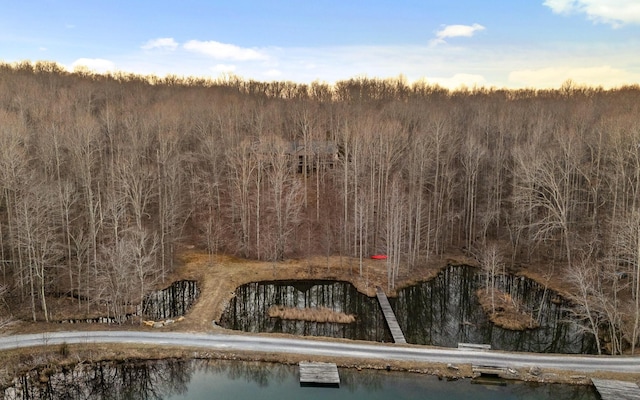 bird's eye view featuring a water view and a wooded view