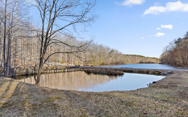 water view featuring a view of trees