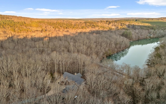 bird's eye view with a water view and a wooded view