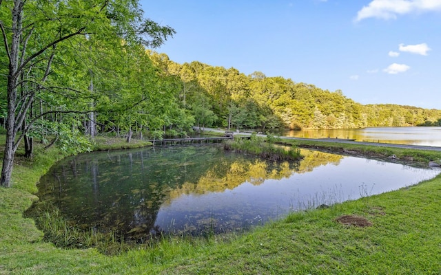55 Mountain Farms Rd, Signal Mountain, TN 37377 - photo 40