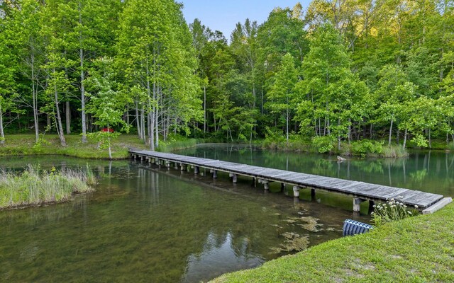 55 Mountain Farms Rd, Signal Mountain, TN 37377 - photo 39