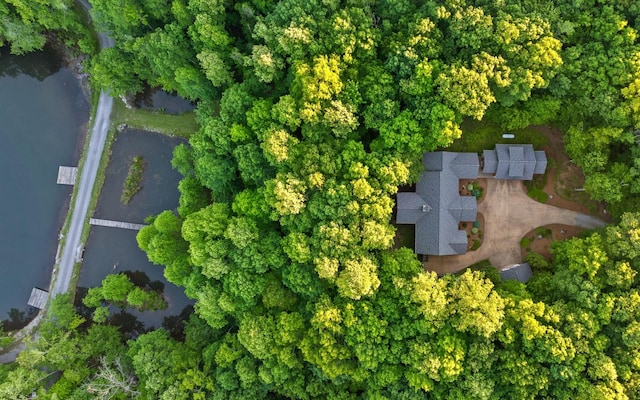 55 Mountain Farms Rd, Signal Mountain, TN 37377 - photo 5