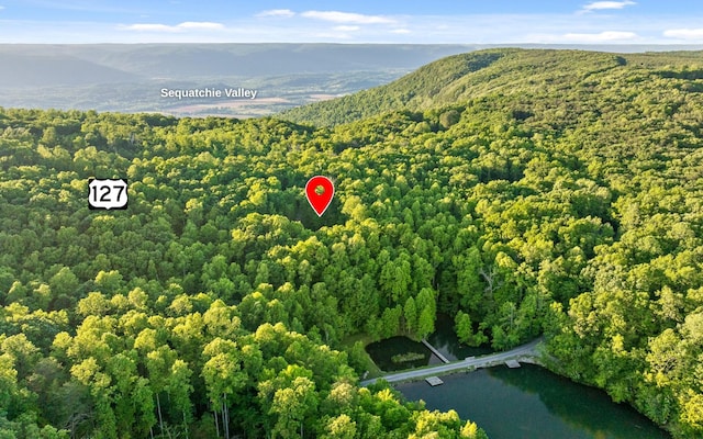 55 Mountain Farms Rd, Signal Mountain, TN 37377 - photo 45