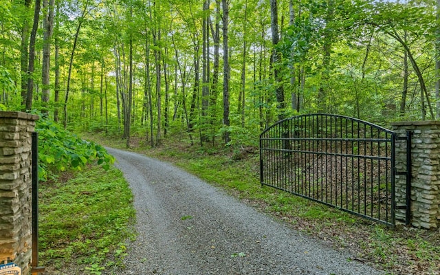 55 Mountain Farms Rd, Signal Mountain, TN 37377 - photo 7