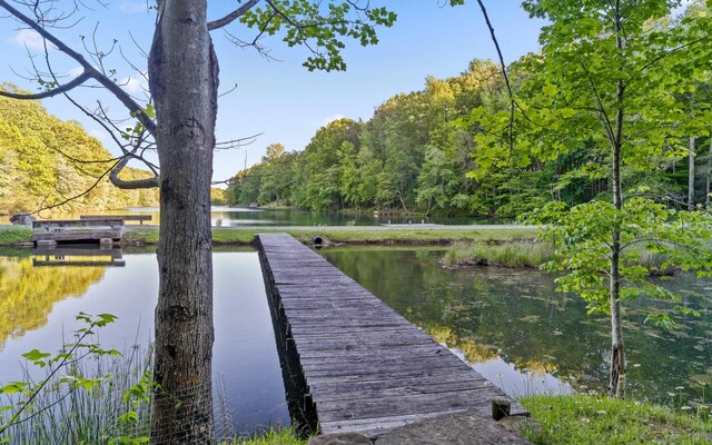 55 Mountain Farms Rd, Signal Mountain, TN 37377 - photo 47