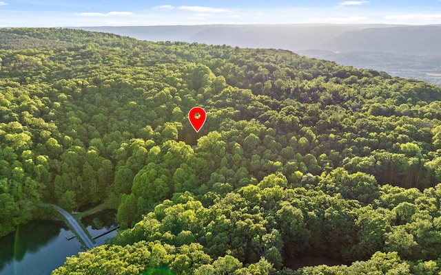 55 Mountain Farms Rd, Signal Mountain, TN 37377 - photo 46