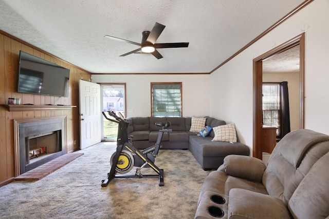 living area with a textured ceiling, carpet floors, and ornamental molding