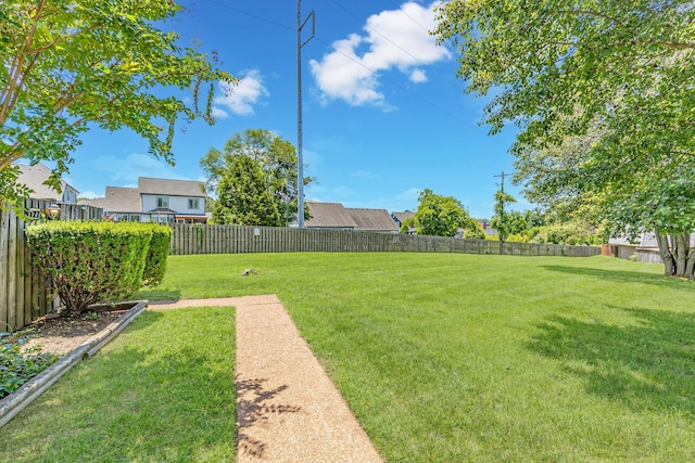 view of yard with a fenced backyard