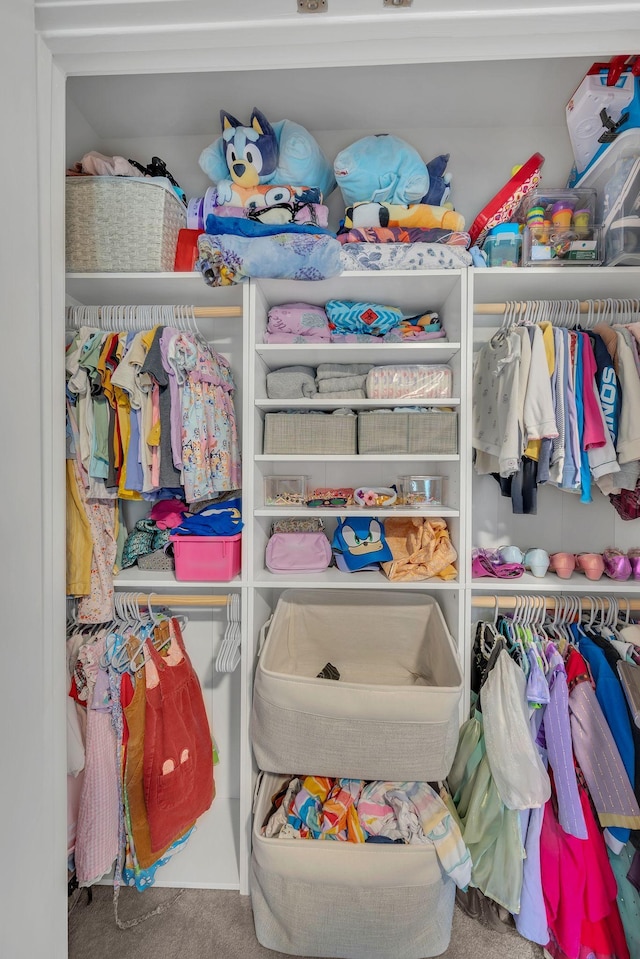 view of closet