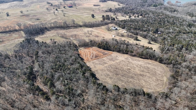 drone / aerial view with a rural view