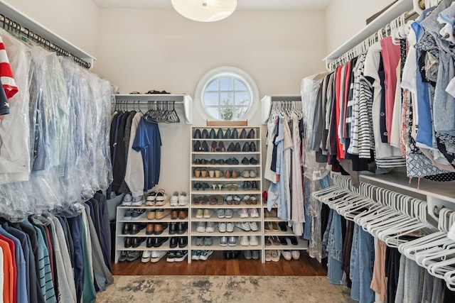 spacious closet featuring wood finished floors