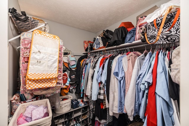 view of walk in closet